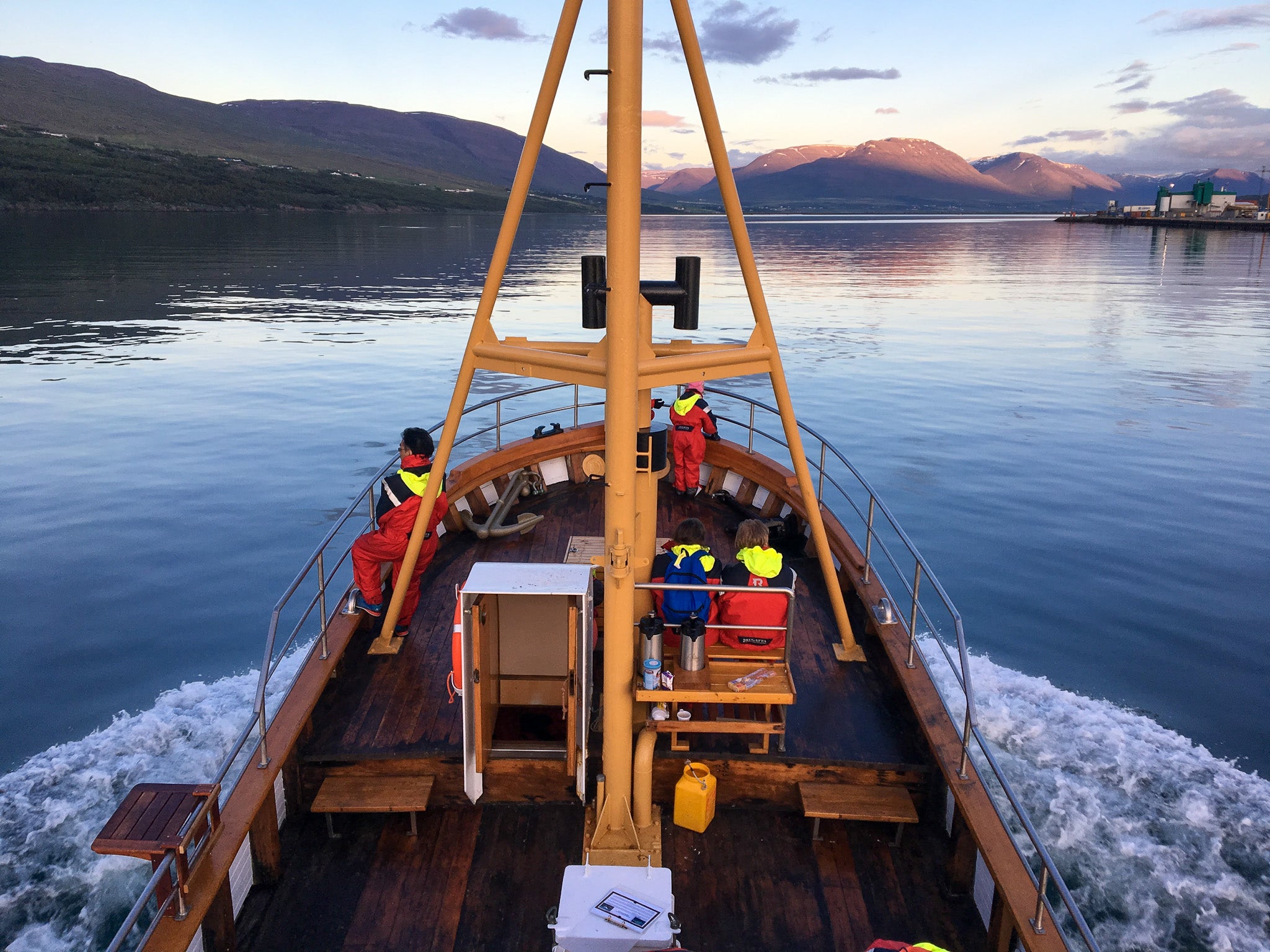 Whale Watching and Puffin Boat Tour in Hauganes with Transfer from Akureyri