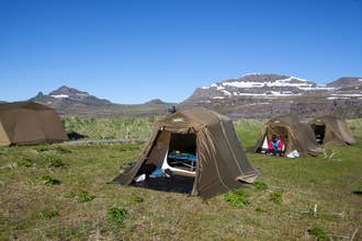 Excursion Faune Islandaise de 2 jours dans les Fjords de l'Ouest au Hornstrandir & à Hornvik depuis Isafjordur