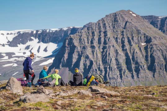 Excursion Faune Islandaise de 2 jours dans les Fjords de l'Ouest au Hornstrandir & à Hornvik depuis Isafjordur 