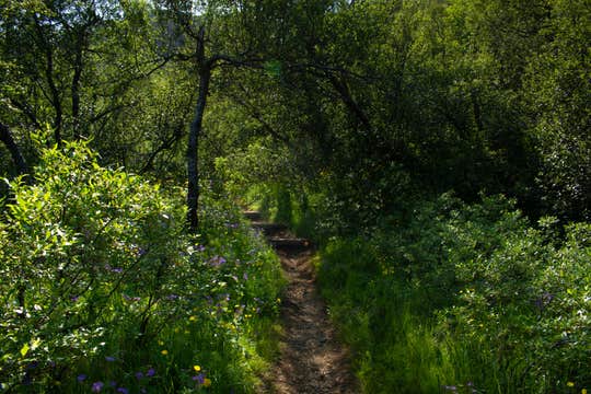 Private 12-Hour Hiking and Super Jeep Tour to Thorsmork from Reykjavik