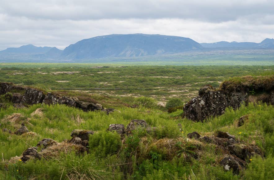The Lögberg fault at Thingvellir National Park in Iceland The Lögberg fault at Thingvellir National Park in Iceland