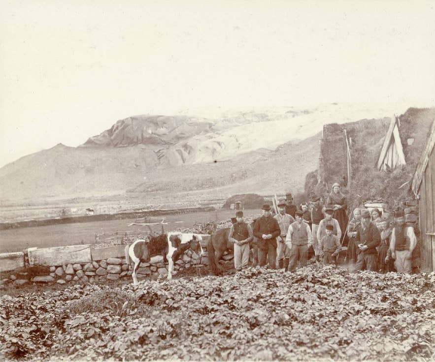 Icelandic family with a horse posing outside a turf house in South Iceland, ca. 1900, glacier-capped mountain in background.