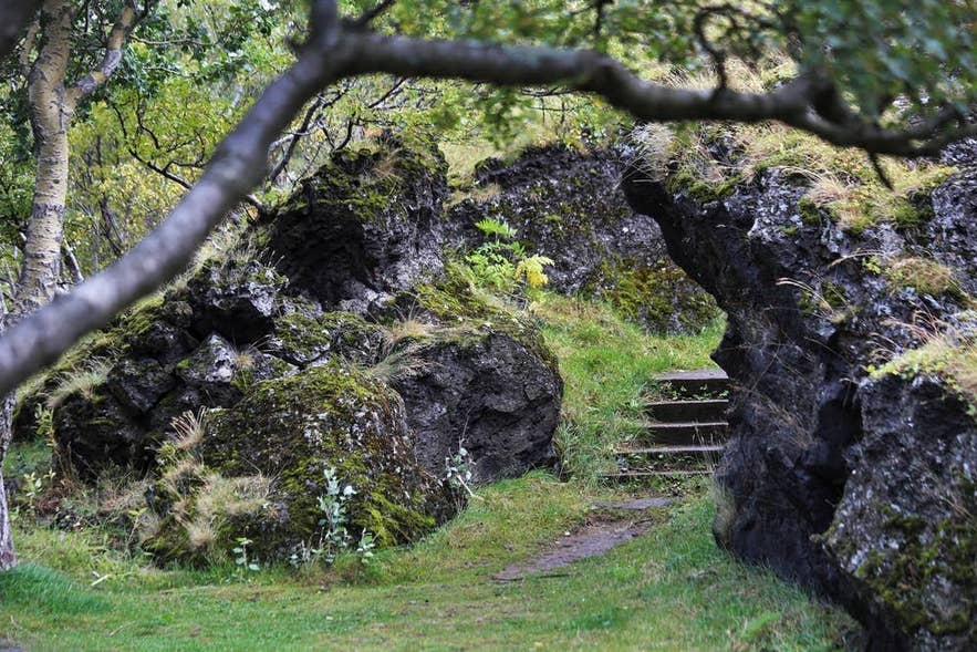 A path winding between moss-covered lava rocks and trees in Hellisgerdi Park