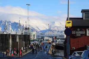Reykjavik Shore Excursions
