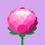 Chow Wai Yin Christen