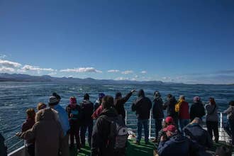 Baldur Ferry Ticket from Brjanslaekur to Stykkisholmur across Breidafjordur