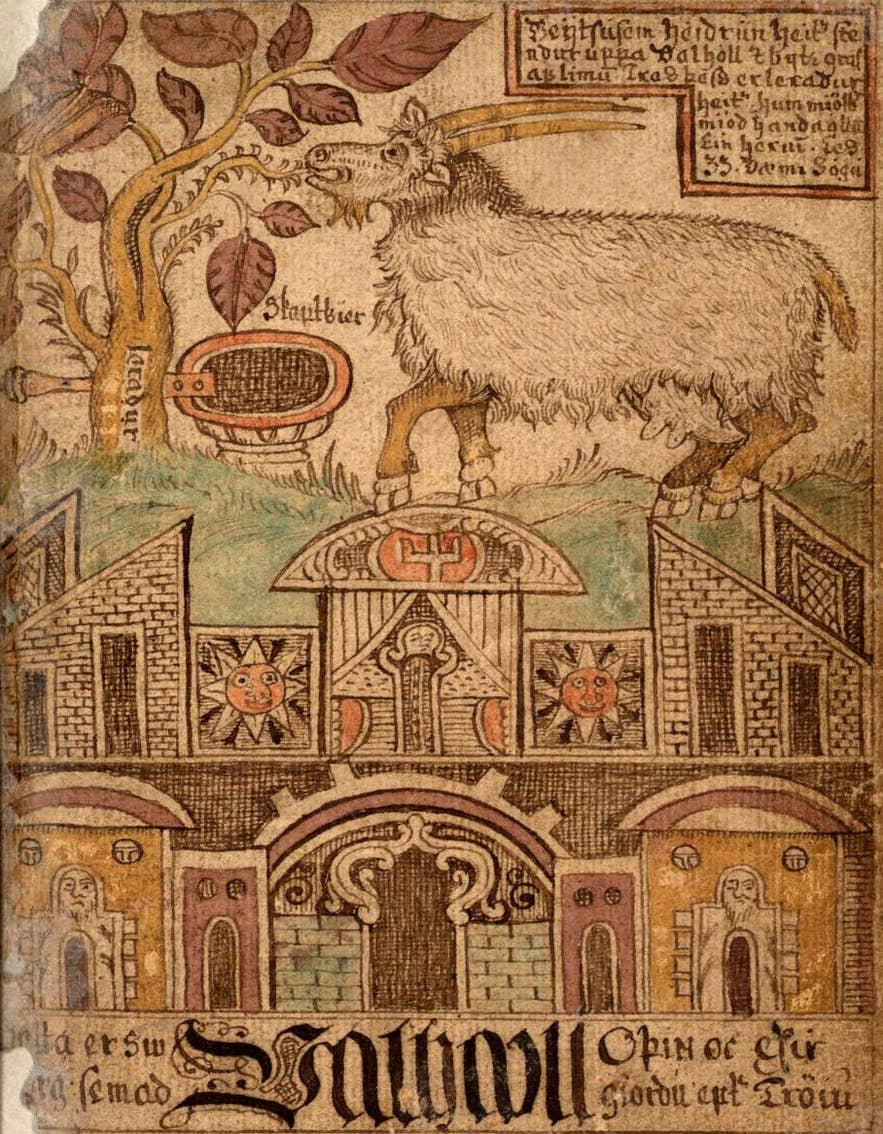18th-century Icelandic manuscript illustration of the goat Heidrun on the roof of Valhalla, whose udders produce endless mead in Norse mythology. 18th-century Icelandic manuscript illustration of the goat Heidrun on the roof of Valhalla, whose udders produce endless mead in Norse mythology.