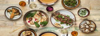Top 14 Best Restaurants on the South Coast of Iceland