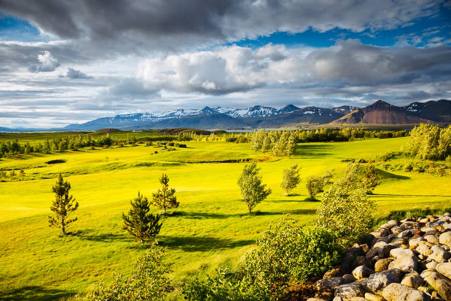 Summer landscape along the Ring Road near Borgarnes, with a golf course and snow-streaked mountains.