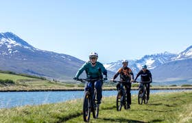 Private E-Mountain Biking Tour in Dalvik with Local Guide