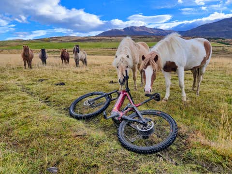 Private E-Mountain Biking Tour in Dalvik with Local Guide