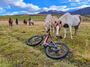 Private North Iceland E-Bike Tour from Dalvik to Svarfadardalur Valley
