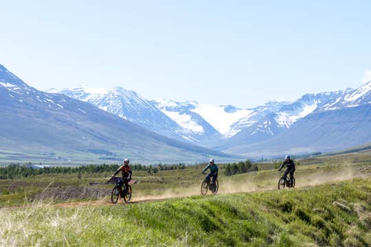 Private E-Mountain Biking Tour of Dalvik's Best Trails in North Iceland