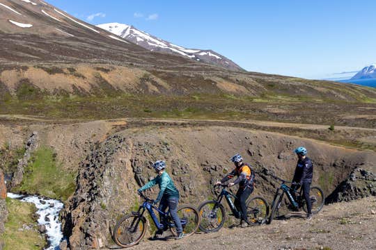 Private E-Mountain Biking Tour of Dalvik's Best Trails in North Iceland
