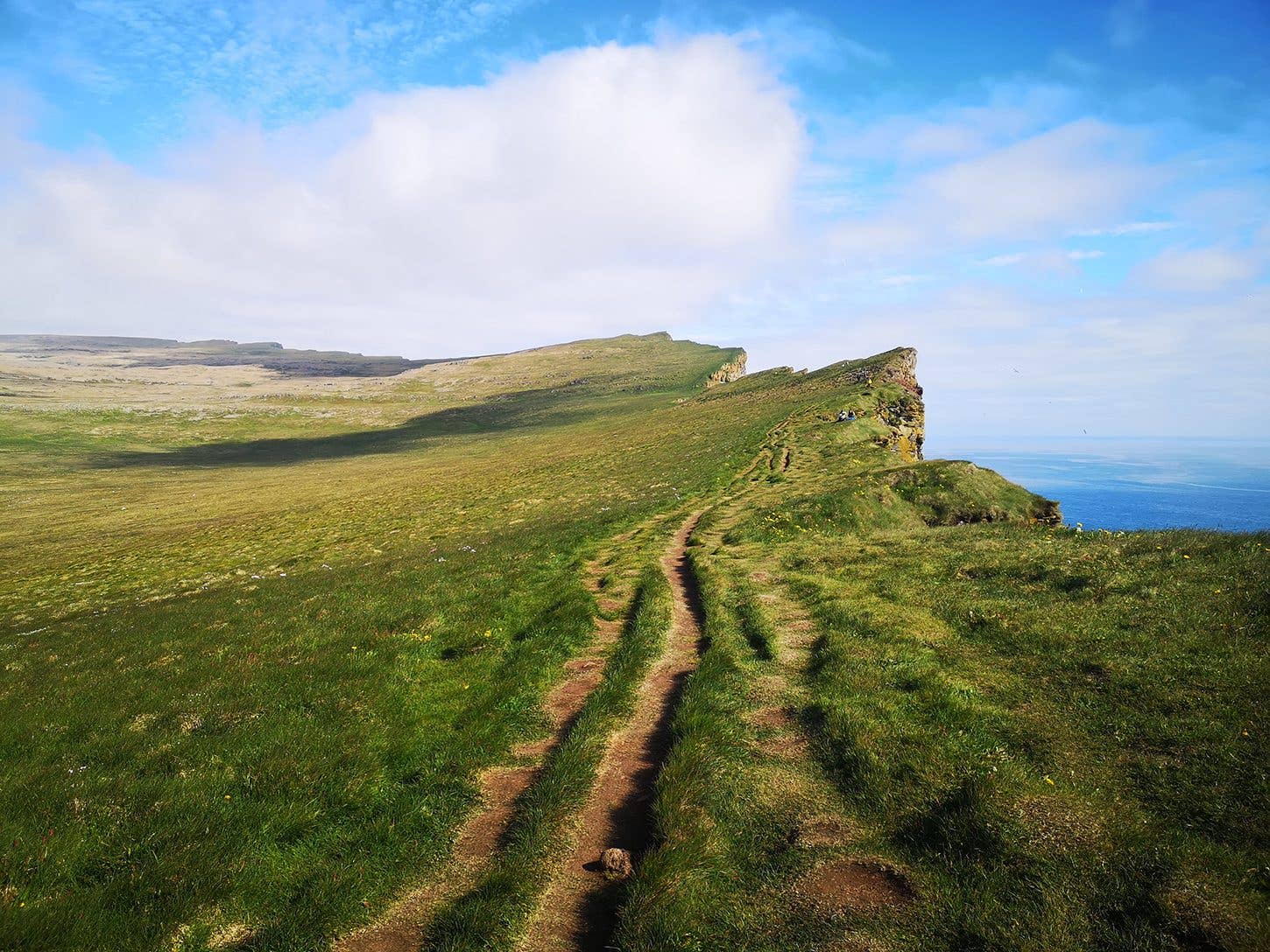 A grassy path runs along the top of the Látrabjarg bird cliffs, the westernmost point of Iceland, in the Westfjords.