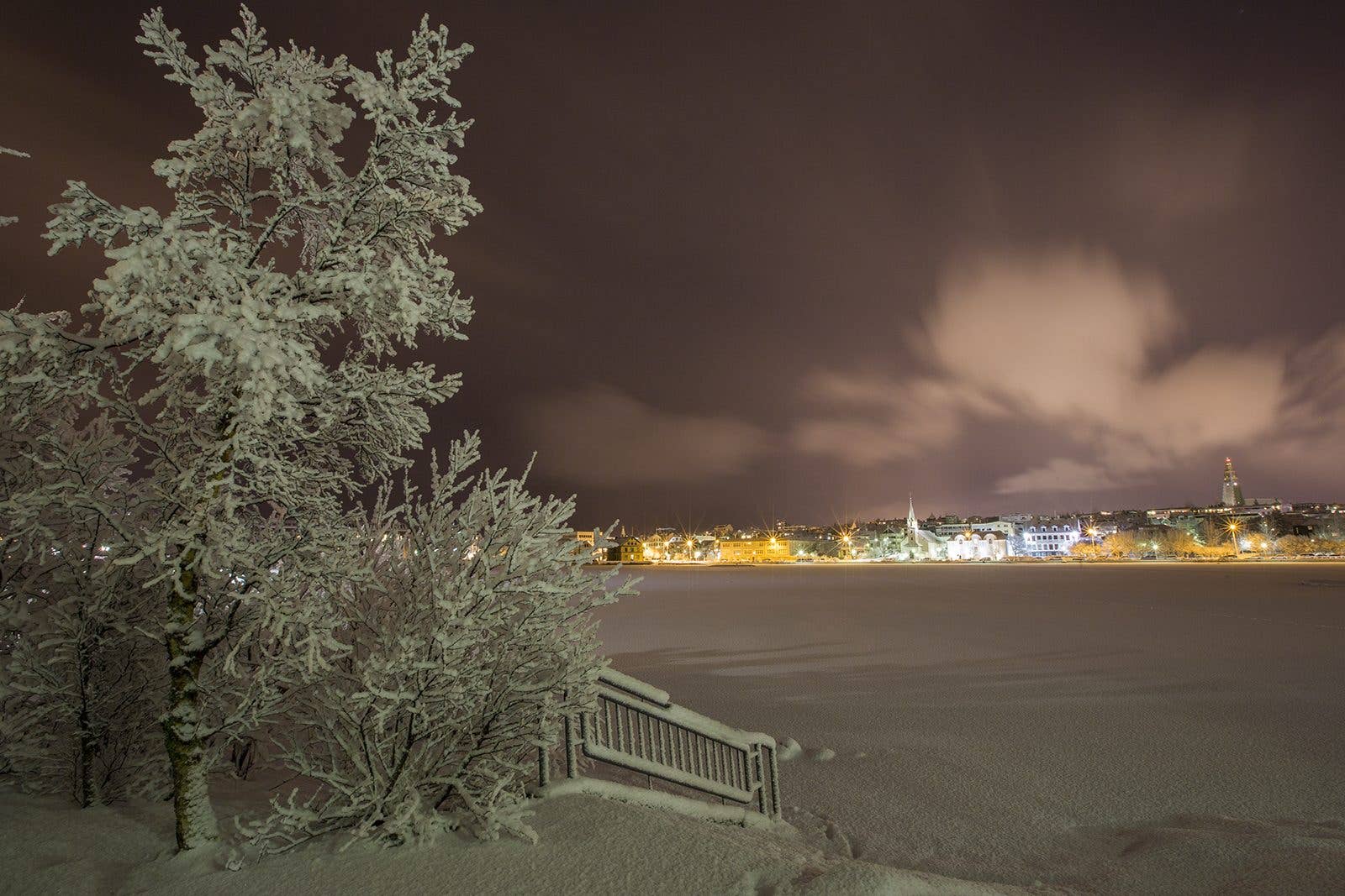 Snow-covered trees frame the Tjörnin pond and the lights of downtown Reykjavík on a winter night, Iceland.
