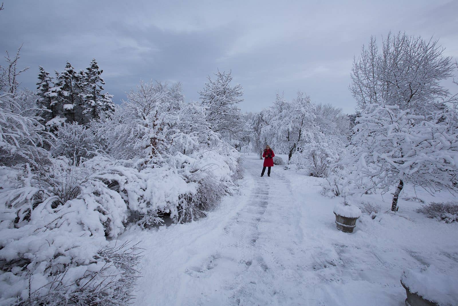 A person in a red coat walks a snow-covered path through a park in wintry Reykjavík, Iceland.