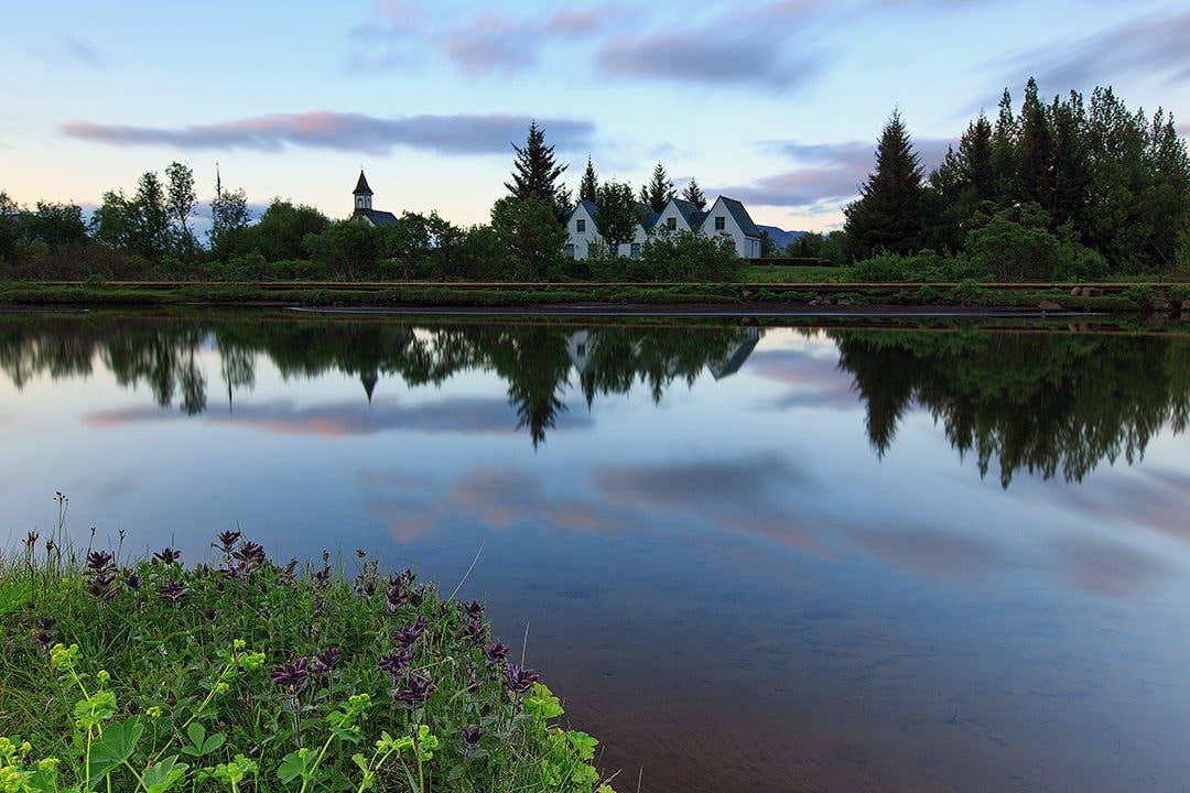 The church at Þingvellir reflects in still water beside summer wildflowers in Þingvellir National Park, Golden Circle, Iceland.