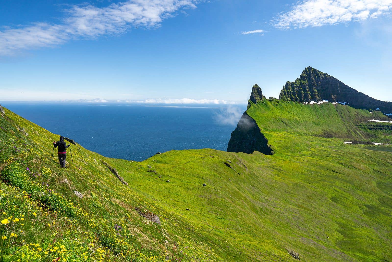 A hiker walks the green sea cliffs of the remote Hornstrandir nature reserve in the Westfjords of Iceland.