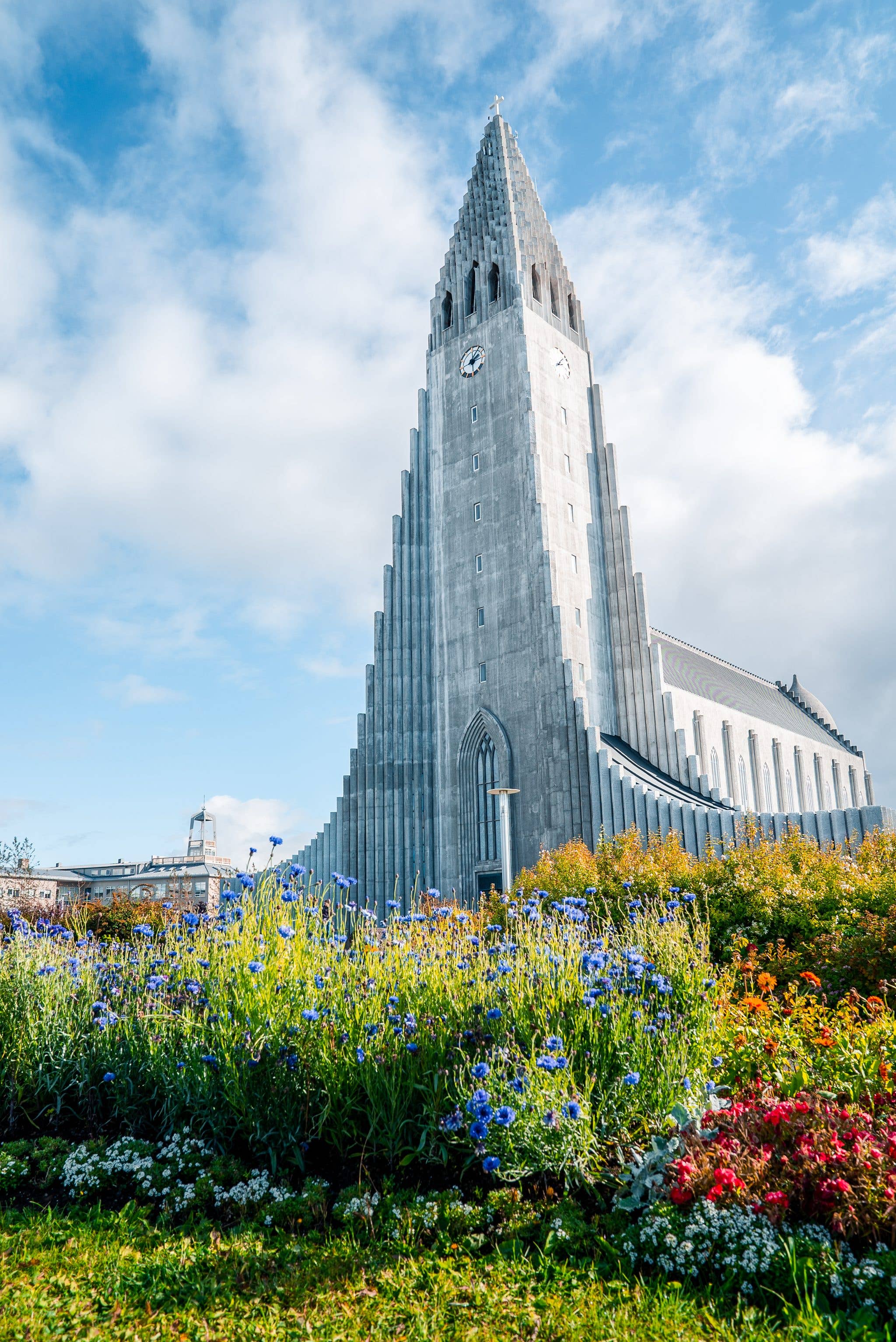The Hallgrímskirkja church towers over the colourful rooftops of central Reykjavík on a summer day in Iceland.