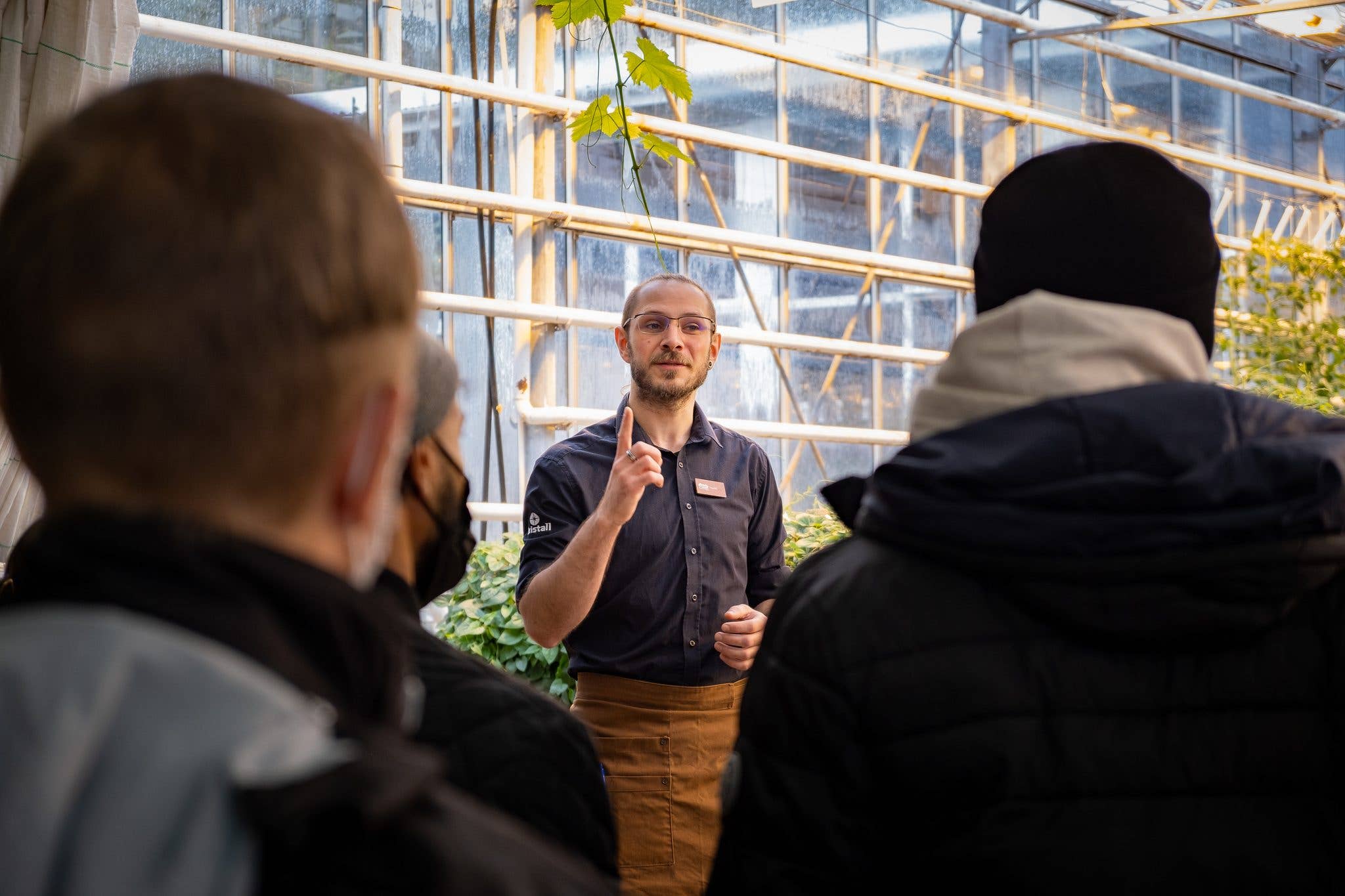 Visitors tour the Friðheimar tomato greenhouse on the Golden Circle in South Iceland.