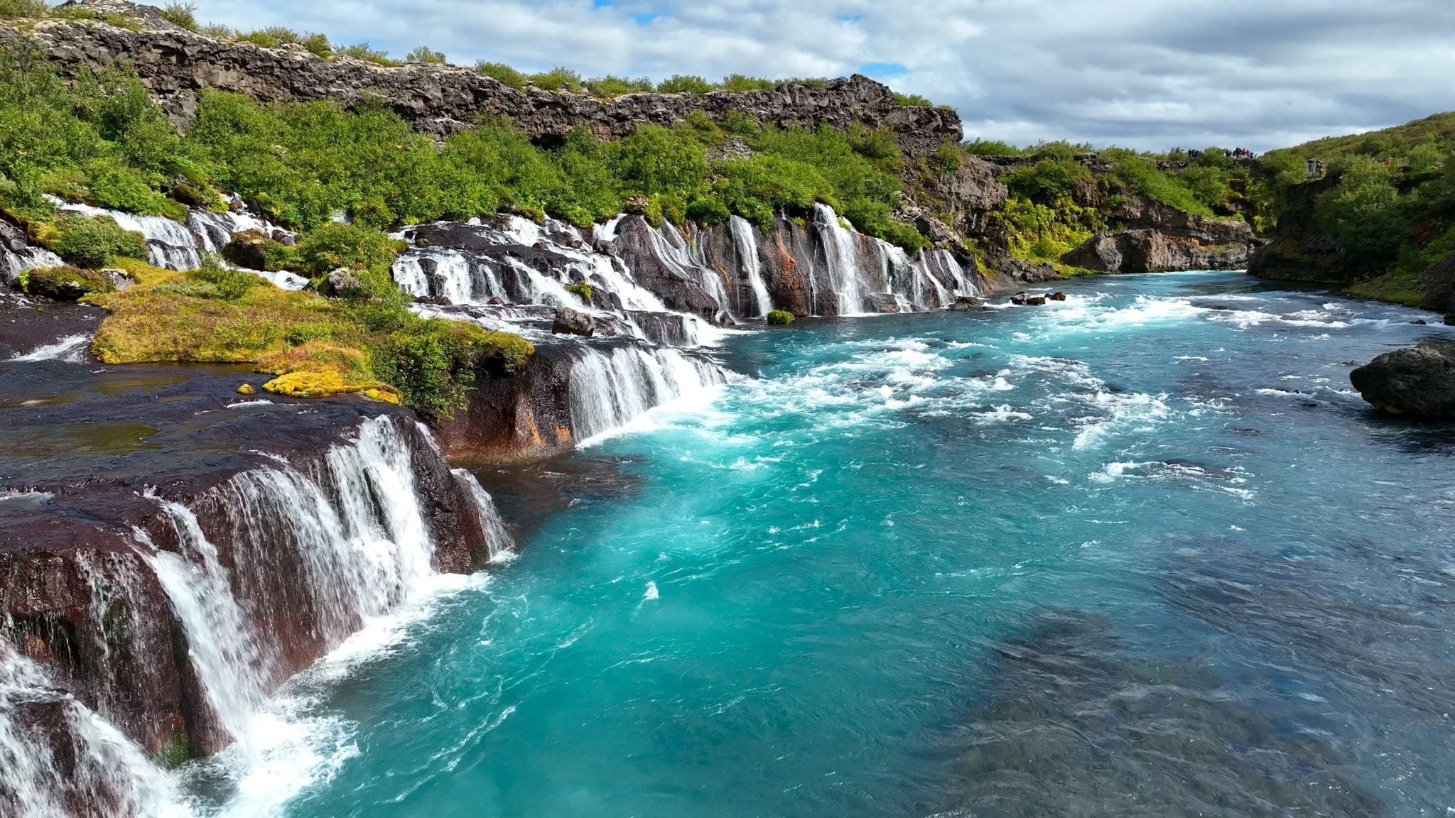 The Hraunfossar waterfalls run clear and blue through green summer lava in West Iceland.