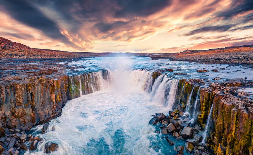 The wide horseshoe shape of Selfoss Waterfall in Jokulsargljufur Canyon.