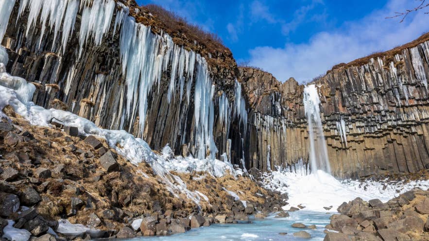 Svartifoss waterfall framed by dark hexagonal basalt columns in Southeast Iceland
