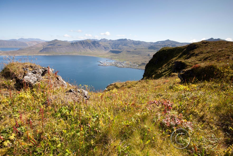 Grundarfjörður as seen from Kirkjufell