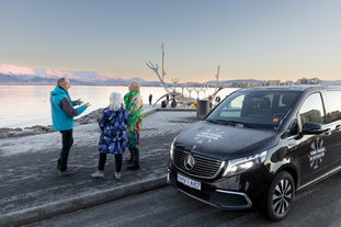 Private 3-Hour Reykjavik Driving Tour