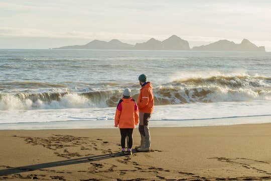 Landeyjasandur Beach Citizen Science Coastal Mapping Tour in South Iceland