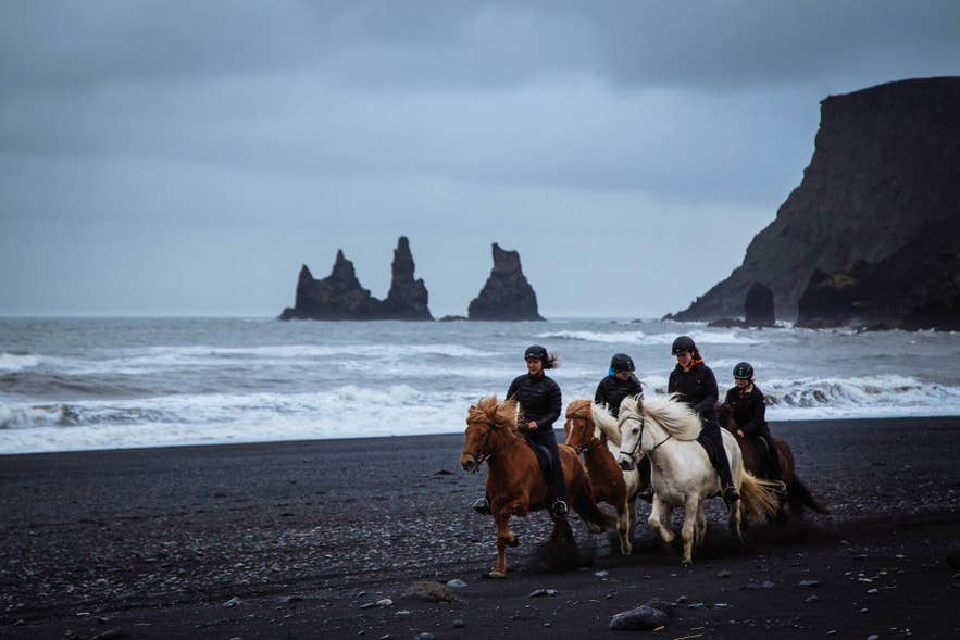 Horseback riders crossing the black sand near Reynisfjara Black Sand Beach