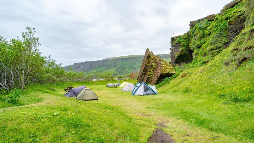 Colorful tents pitched on green grass at a campsite near Vik, Iceland, beside a moss-covered volcanic rock formation.