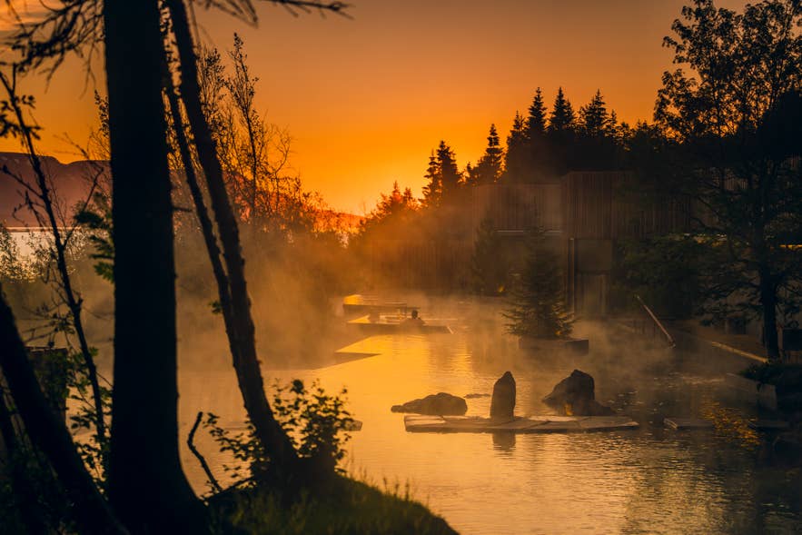 Die Forest Lagoon bei Sonnenuntergang mit aufsteigendem Dampf zwischen den Bäumen
