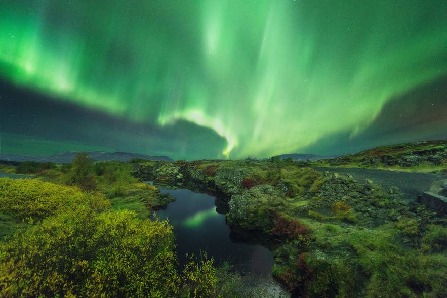 Green northern lights above the water filled rift fissures and autumn moss of Thingvellir National Park.