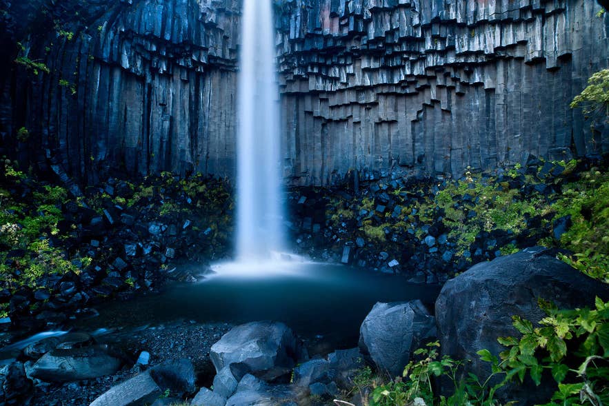Svartifoss waterfall framed by black basalt columns in Skaftafell, South Iceland