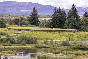 Lush greenery abound inside the Thingvellir National Park.