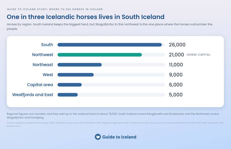 Bar chart of Icelandic horses by region with South Iceland highest at around 26,000 horses