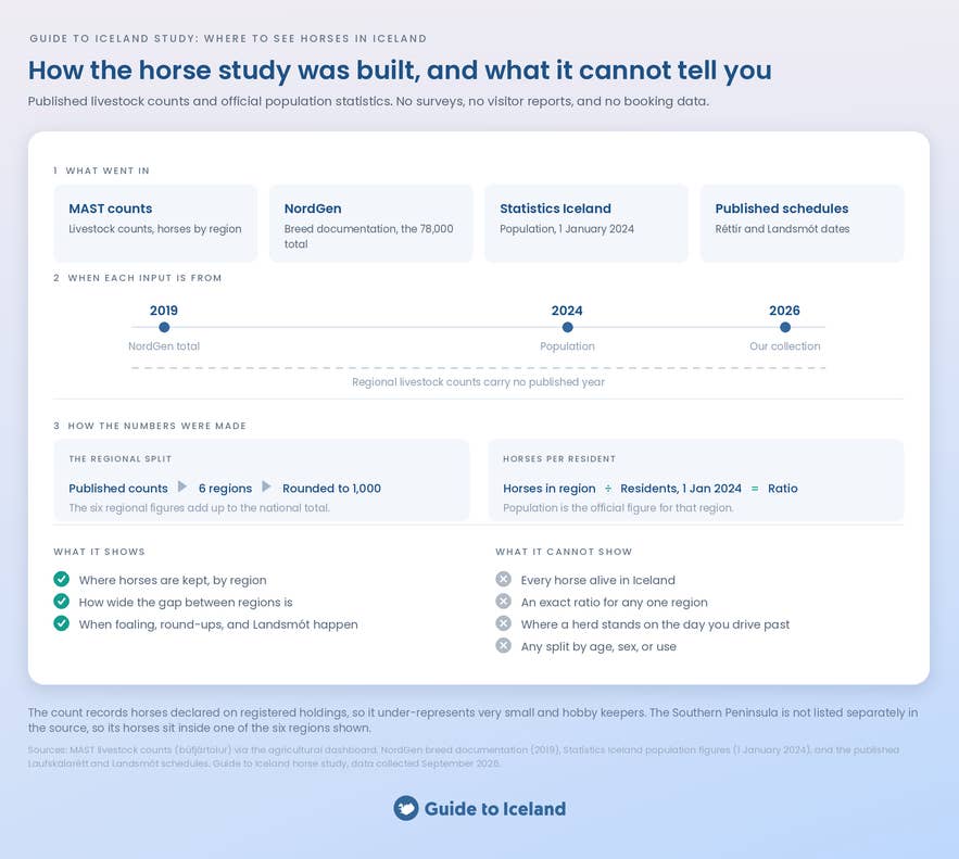 Methodology infographic for the Icelandic horse study, with the data sources, the method, and the limitations