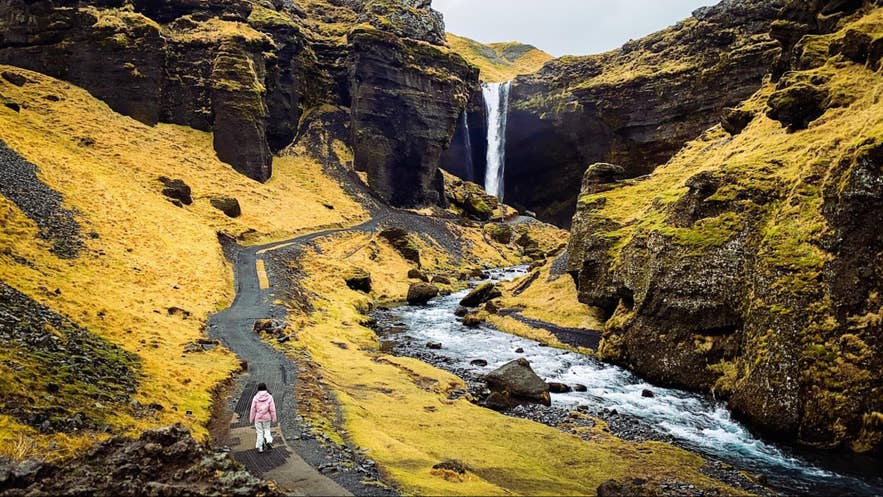 A traveler walks a gravel path through a mossy Icelandic canyon toward a waterfall and a rocky river. A traveler walks a gravel path through a mossy Icelandic canyon toward a waterfall and a rocky river.
