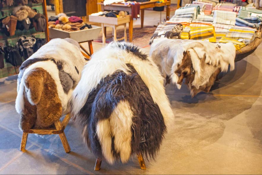 Icelandic sheepskins draped over wooden stools in a shop, with folded wool blankets behind them. Icelandic sheepskins draped over wooden stools in a shop, with folded wool blankets behind them.
