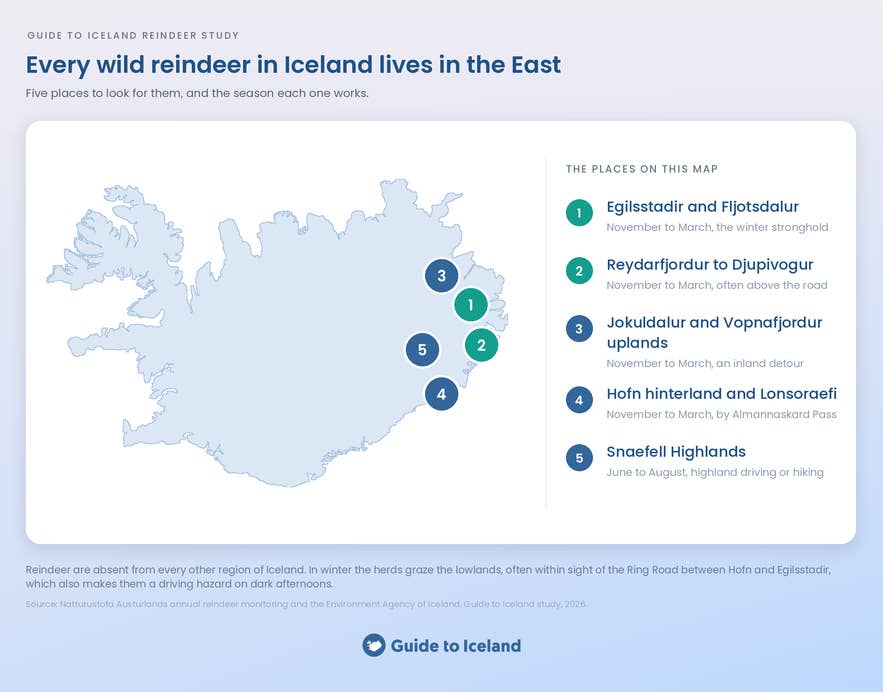 Map of where to see reindeer in East Iceland.
