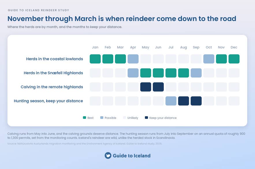 Seasonal migration calendar for reindeer in Iceland.