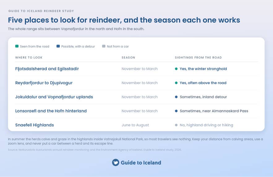 Data chart showing the best months and seasons to spot wild reindeer in Iceland.