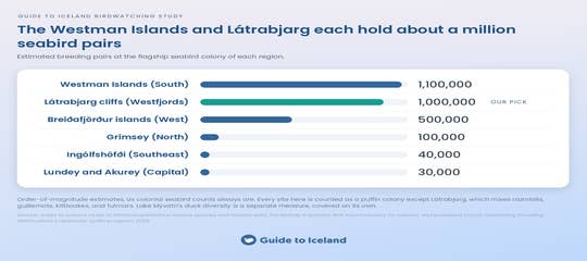 iceland-biggest-seabird-colonies-guide-to-iceland.png