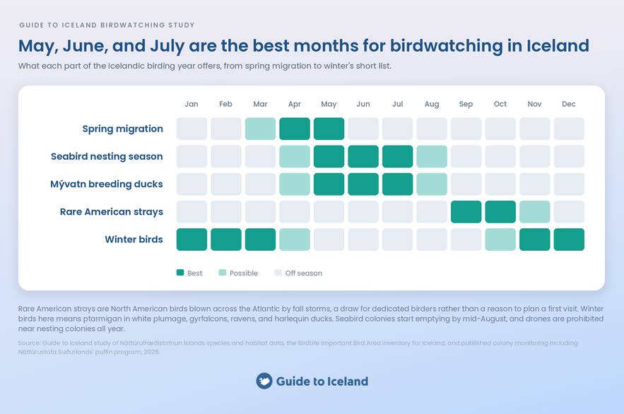 Calendar showing the best months for birdwatching in Iceland by bird group