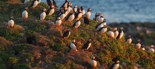 Copy of iurie belegurschi 111 (8).jpg
