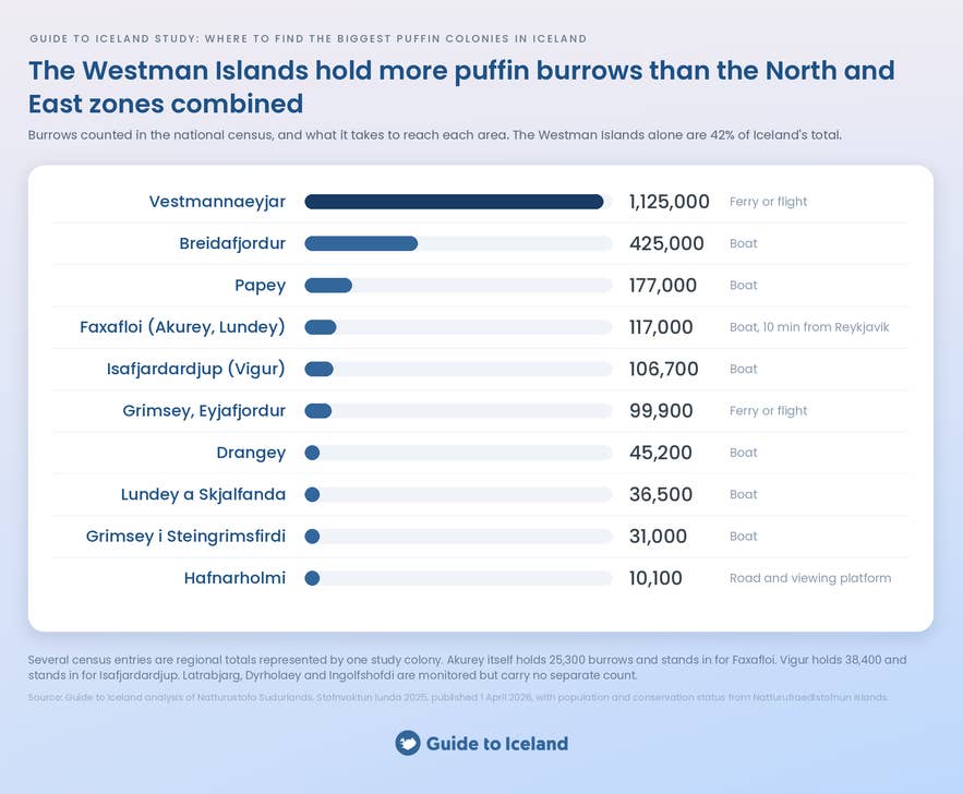 Bar chart of Iceland's biggest puffin colonies, led by 1,125,000 burrows in the Westman Islands