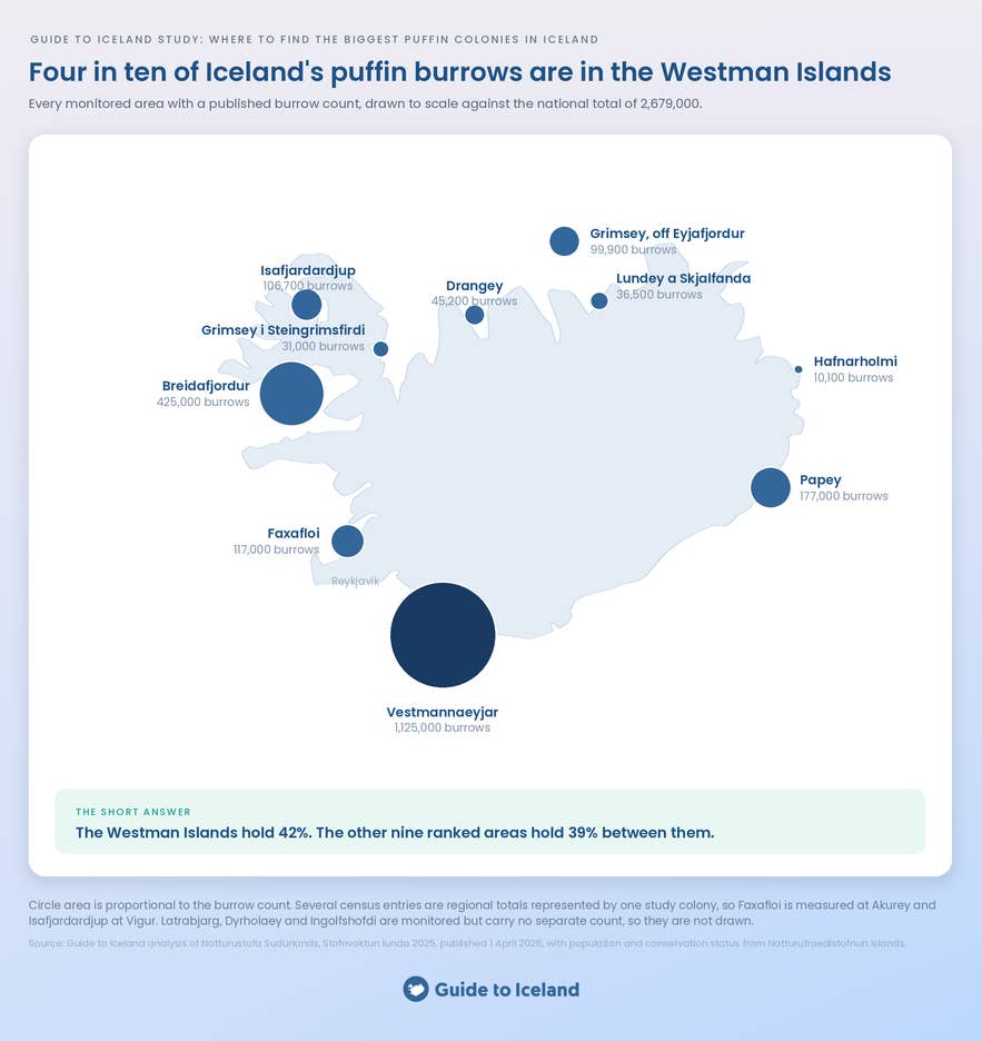 Map of where Iceland's biggest puffin colonies are, with 1,125,000 burrows in the Westman Islands