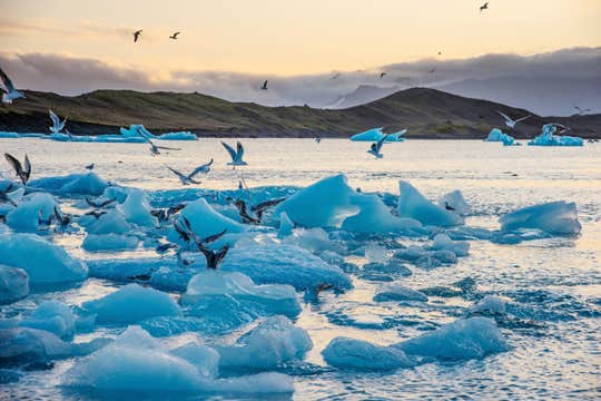 Jokulsarlon Glacier Lagoon & Diamond Beach Day Tour from Reykjavik with Optional Boat Ride